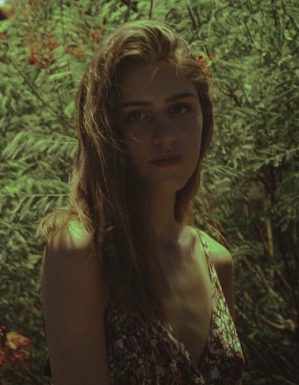 Olive, Haven's founder